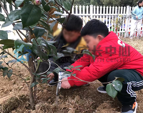 种下希望，“融”获新生，植树节特别活动