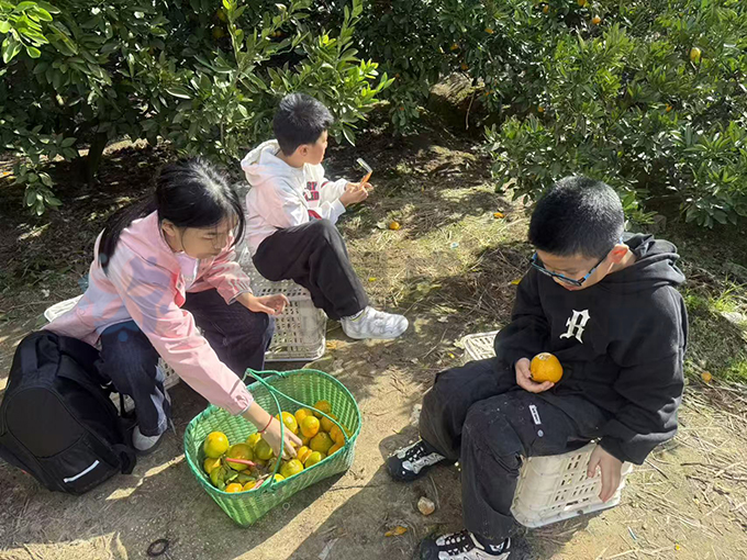 一起“趣”秋游，寄远星橘子星球探险记